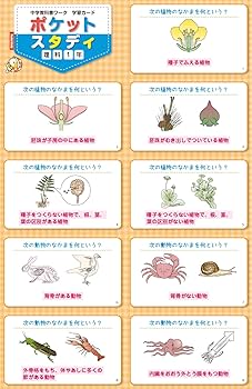 中学教科書ワーク 理科 1年 東京書籍版 | 文理編集部 |本 | 通販